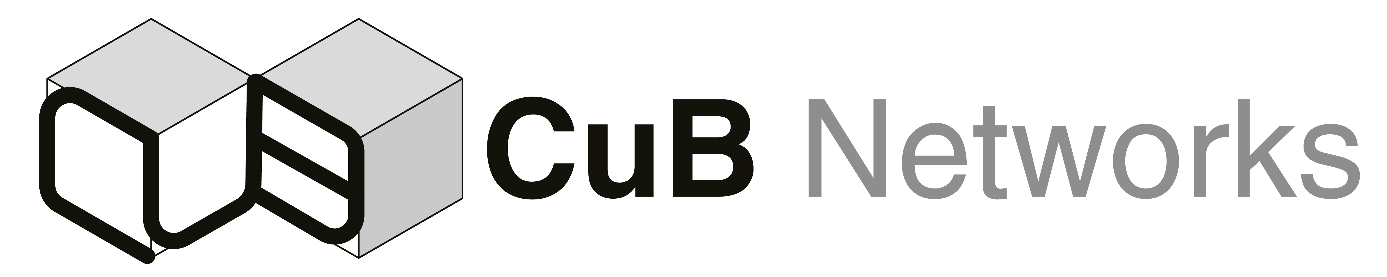 CUB Networks Logo